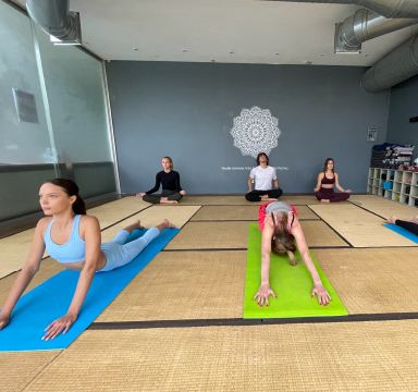 Clases de Yoga  en gym Centro qi.